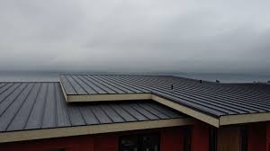 Best Roof Maintenance and Cleaning  in Orosi, CA